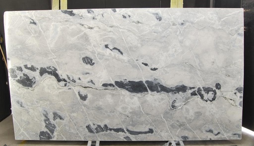 [1891/2] APPALOOSA WEISS (2,0 cm Material)