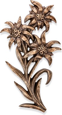 [ST-33980] Bronzový Edelweiss na náhrobek, 26×15 cm