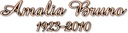 Inschriftplatte Bruno aus Bronze und Aluminium