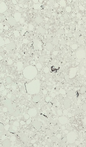 [4825] QUARELLA BIANCO APUANO (0,4 cm Produkt)
